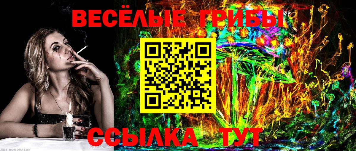 Псилоцибиновые грибы мухоморы  Вход с VPN  Горячий Ключ  купить наркотики сайты  Псилоцибиновые грибы мухоморы 